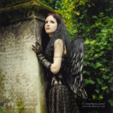 Dark Angel