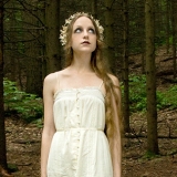 The Wood Faerie